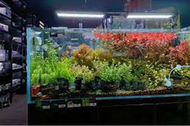 Vivariums