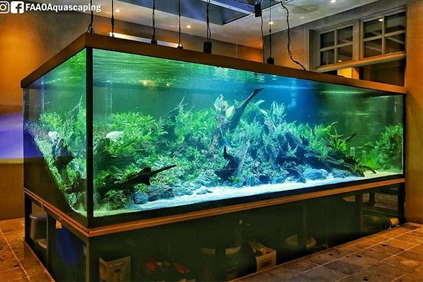 Vivariums