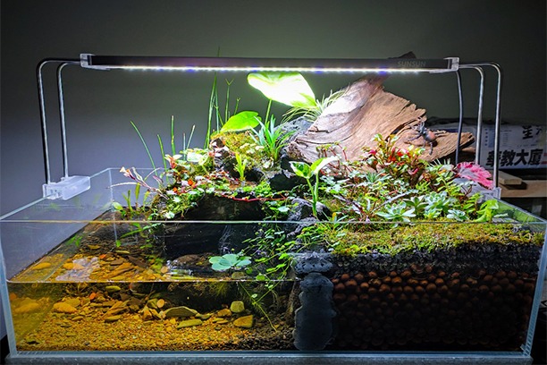 Vivariums